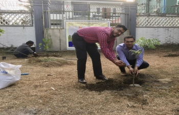 Tree Plantation during celebration of Swachhata Pakhwada (01 January - 15 January 2022) at CGI Sittwe